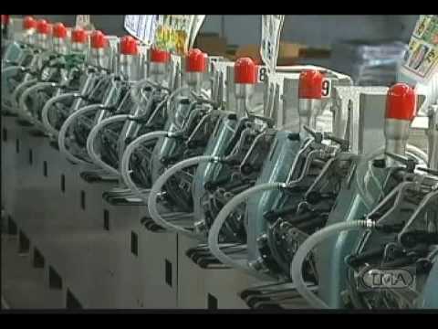 Thiele Multi station collator